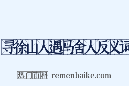 寻徐山人遇马舍人反义词是什么意思的图片